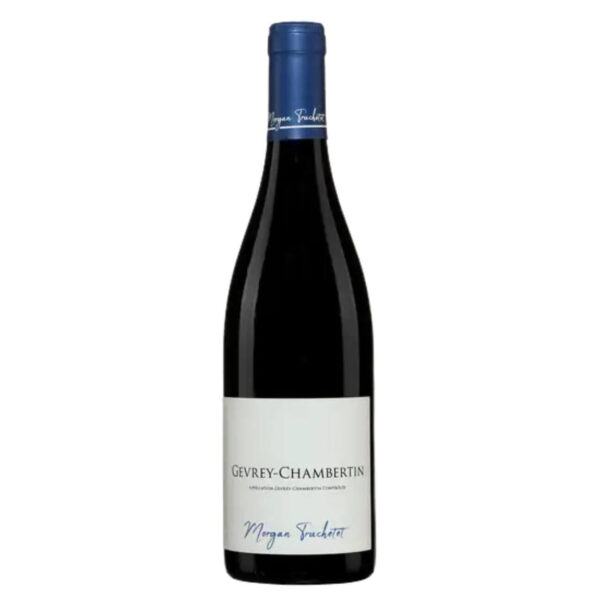 Domaine Truchetet Gevrey-Chambertin /2022 2021
