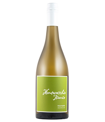 Montevecchio Bianco 2023